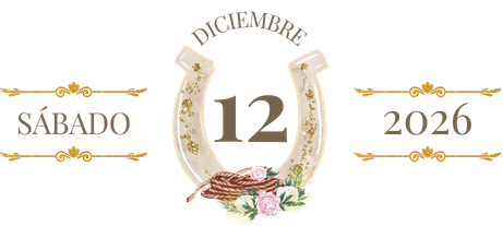 Icono 1